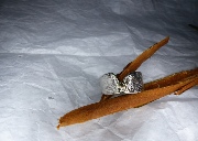Silber-Ring mit auffällig geschmorten Kanten und Goldnugget